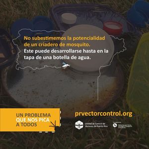 Image post by @prvectorcontrol on Instagram