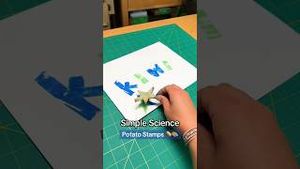 Video post by @kiwico on YouTube
