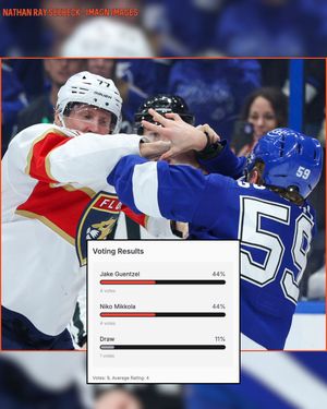 Image post by @hockeyfights on Instagram