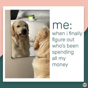 Image post by @99Problems_SC on Twitter