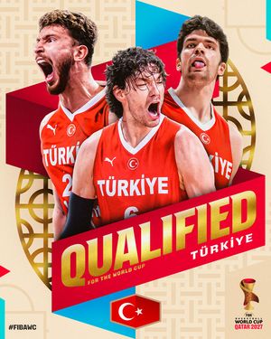 Image post by @fibawc on Instagram