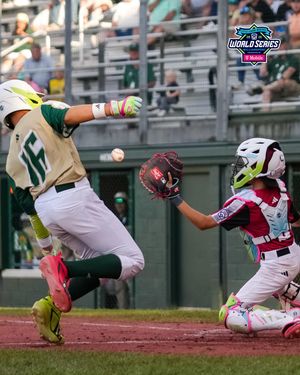 Image post by @littleleague on Instagram