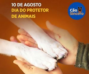 Image post by @adestradores.caosincero on Instagram
