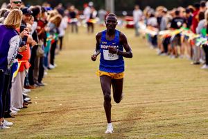 Image post by @hofstratrackxc on Instagram