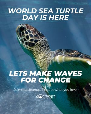 Image post by @4ocean on Instagram