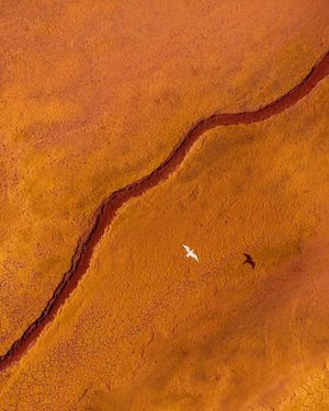 Image post by @droneartgallery on Instagram