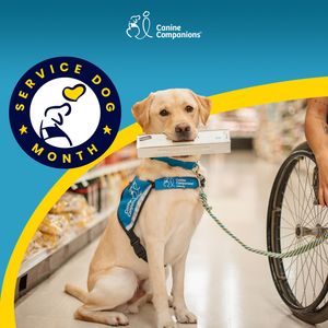 Image post by @canineorg on Instagram