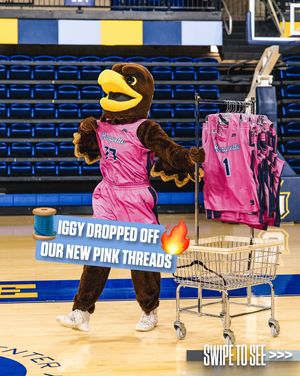 Image post by @marquettewbb on Instagram