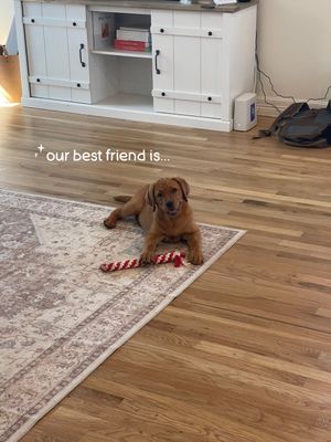 Video post by @reece_christinee on TikTok