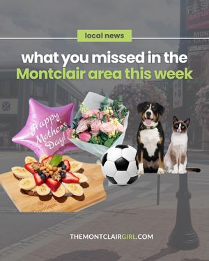 Image post by @themontclairgirl on Instagram