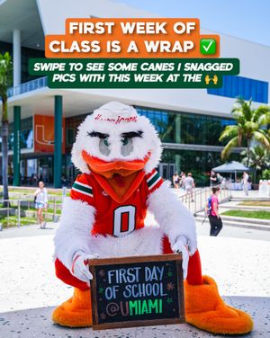Image post by @um_sebastian on Instagram
