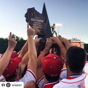 Image post by @witimberrattlers on Instagram