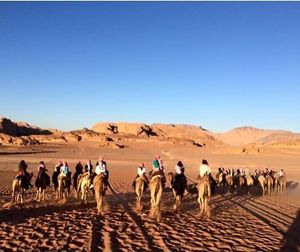 Image post by @cieestudyabroad on Instagram