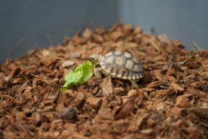 Image post by @nrgpark on Instagram