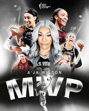 Image post by @wnba on Instagram