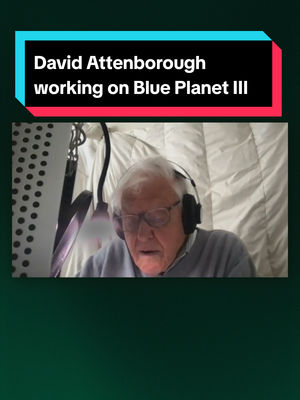 Video post by @bbcearth on TikTok