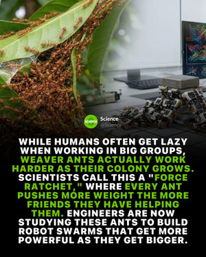 Image post by @science on Instagram