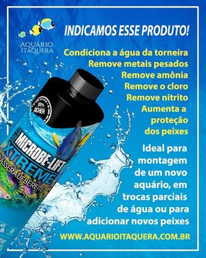 Image post by @aquarioitaquera on Instagram