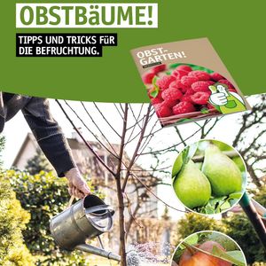Image post by @oldenburgerwohngarten on Instagram