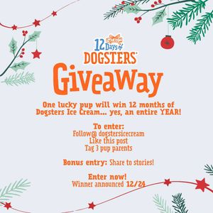 Image post by @dogstersicecream on Instagram