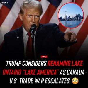 Image post by @shottawa.tv on Instagram