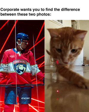 Image post by @flapanthers on Instagram