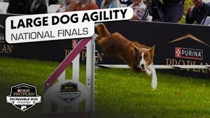 Video post by @nbcsports on YouTube