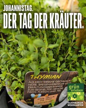 Image post by @oldenburgerwohngarten on Instagram
