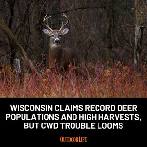 Image post by @outdoor_life on Instagram