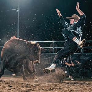 Image post by @ultimatebullfighters on Instagram
