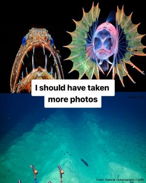 Image post by @greenpeace on Instagram