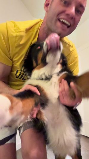 Video post by @mikeytrahan on TikTok