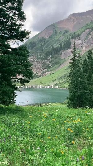 Video post by @filmbychloeg on TikTok