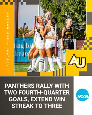 Image post by @adelphifh on Instagram