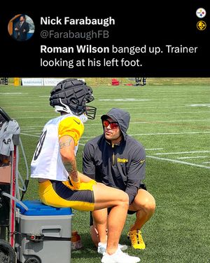 Image post by @steeler.nation.inc on Instagram