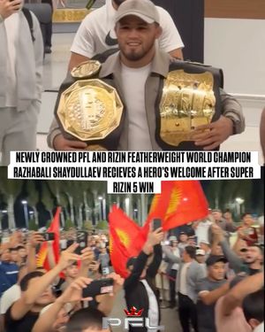 Image post by @pflmma on Instagram
