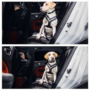 Image post by @VolvoCarUSA on Twitter