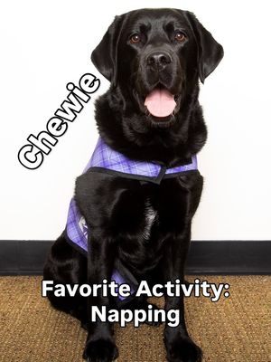 Image post by @denairport on Instagram