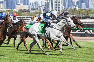 Image post by @flemingtonvrc on Instagram