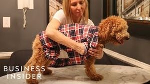Video post by @businessinsider on YouTube