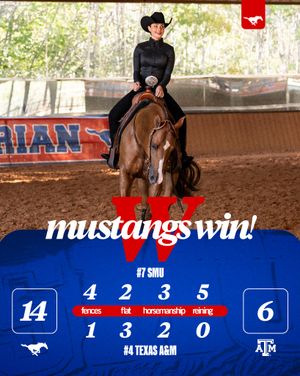 Image post by @smuequestrian on Instagram