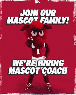 Image post by @razorbackmascots on Instagram