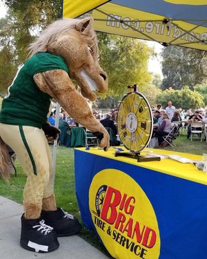 Image post by @bigbrandtire on Instagram
