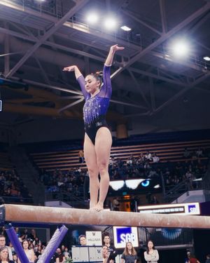 Image post by @uwgymnastics on Instagram