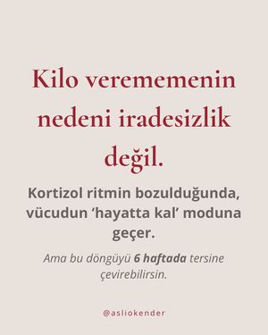 Image post by @asliokender on Instagram