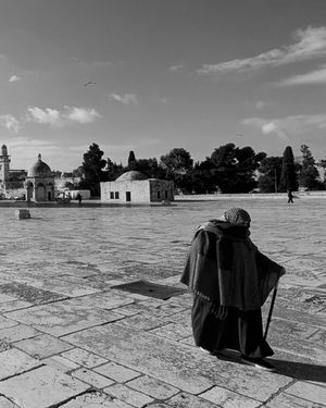 Image post by @breyeschow on Instagram