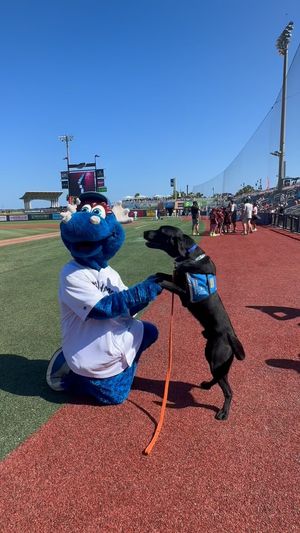 Video post by @BlueWahoosBaseball on Facebook