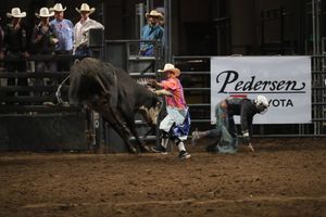 Image post by @LarimerCountyFairAndRodeo on Facebook