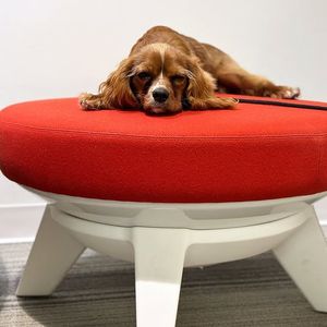 Image post by @kifurniture on Instagram
