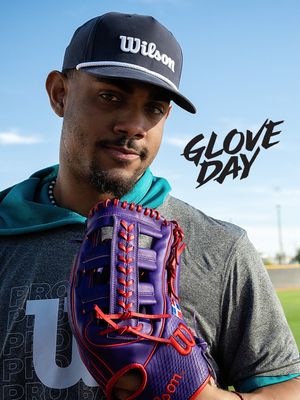Image post by @wilsonballglove on Instagram